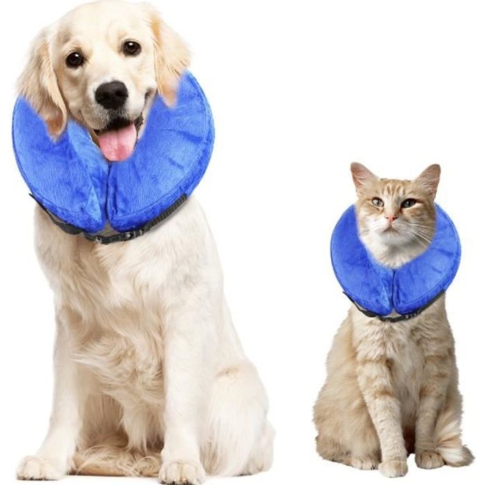 Collier gonflable pour animaux de compagnie chien chat plaie cicatrisante protection anti-morsure collier de sécurité