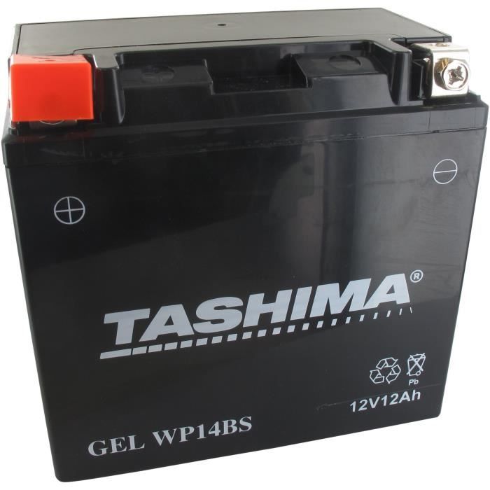 Batterie plomb étanche TASHIMA WP14BS 12 Volts 12A AGM