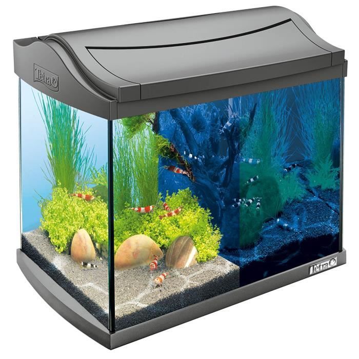 Tetra AquaArt Discovery Line Aquarium en kit complet avec LED 20 L anthracite (avec éclairage LED, Circuit de lumière de jour et