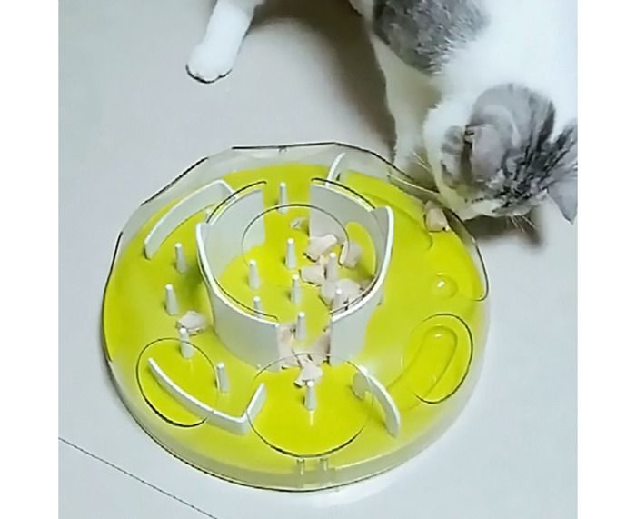 Comparer les prix de Jouet interactif pour chat entraînement aux friandises distribution de nourriture puzzle pour petits chiens alimentation len