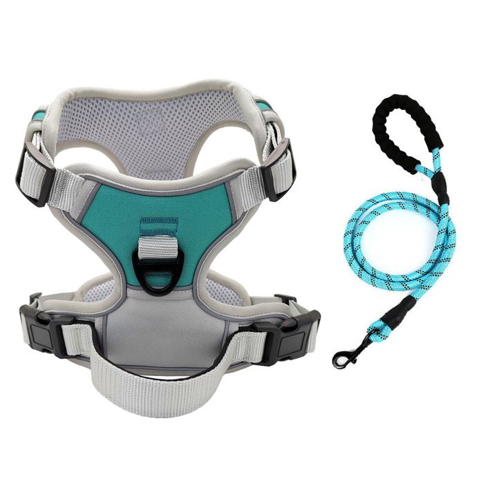 Meilleurs prix pour Harnais Laisse pour Chien - Bleu Lac Gris [Harnais + Corde 15 Mètre] Taille M