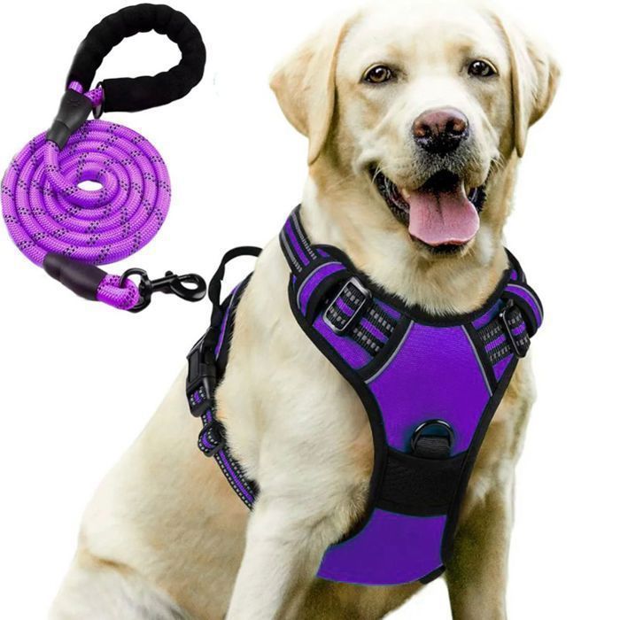 Harnais Réfléchissant Pour Chien - Anti-traction, Réglable Et Rembourré, Taille XXL (Tour De Poitrine 84-108cm) - 11