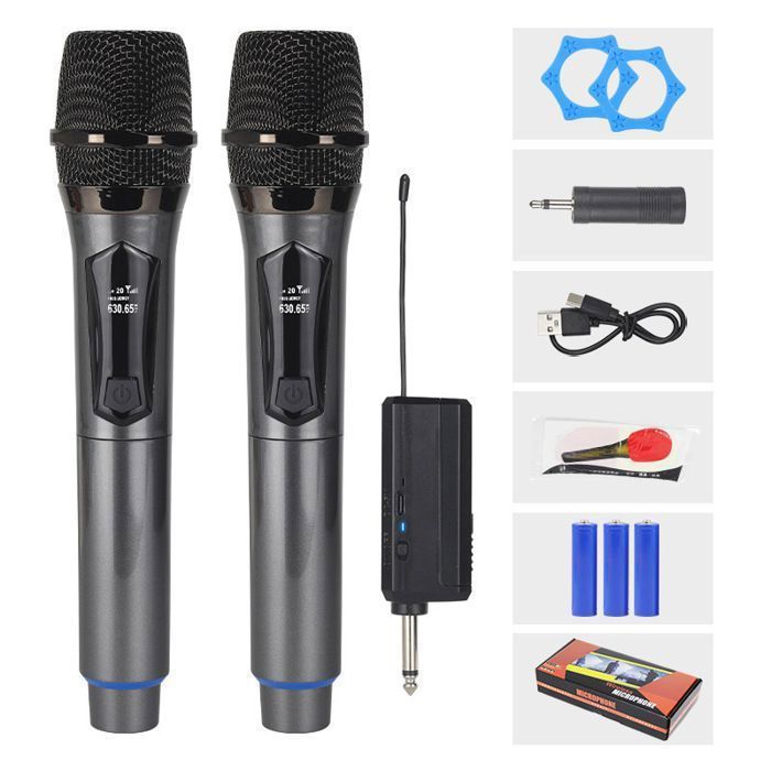 Microphone sans fil professionnel 2.4 GHz dual microphone rechargeable 160ft idéal pour karaoké fêtes mariages Label