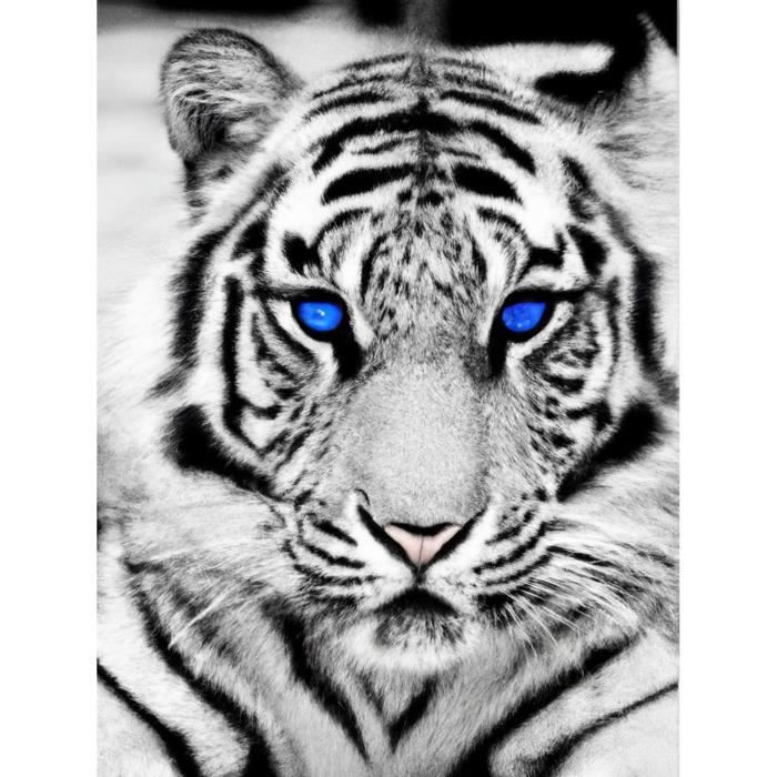 Kit De Peinture Diamant Animaux : 4 Toiles Tigre & Lion, Diamants 5D Et Outils Inclus Pour Décoration Murale DIY - 3