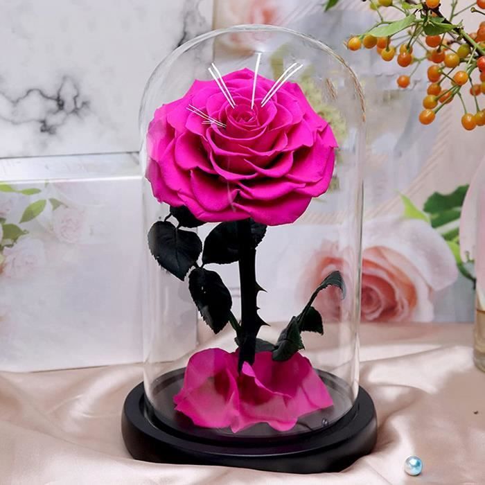 Fleurs Artificielles Rose Eternelle Cadeaux De Professeur De Anniversaire Fete Des Meres Anniversaire Action De Graces Noel Sa 1102 Cdiscount Maison Fleurs Artificielles Rose Eternelle Cadeaux De Professeur De Anniversaire Fete Des Meres Anniversaire Action De Graces Noel Sa 1102 Cdiscount Maison