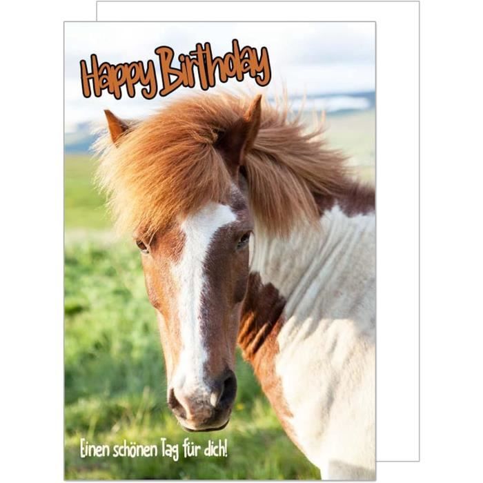 Carte Anniversaire XXL Happy Birthday Ballons – Format A4 Avec Enveloppe – Édition Seidel Pour Homme Ou Femme