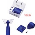 ORGANGONFAND Coffret cadeau cravate pour homme - Cravate de costume 3 pièces Cravate de mariage d'affaires-SB26-1