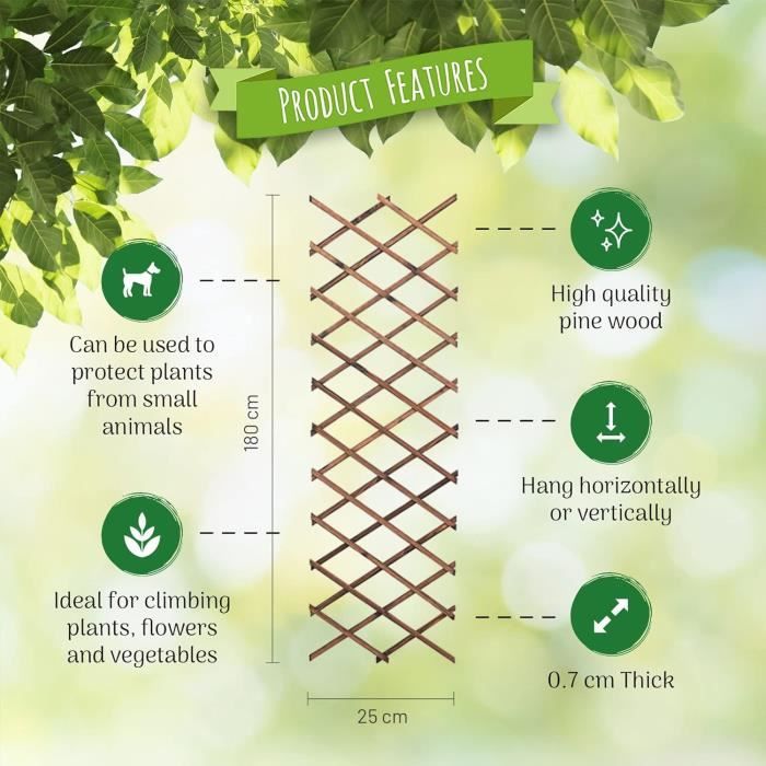 Treillis De Jardin Pour Plantes Grimpantes En Plein Air, Structures De Support Pour Plantes De 47,2 Pouces Pour Vigne De Clématite Rose Et Plantes Grimpantes (Taille : 74cm/29in*120cm*/47.2in