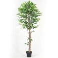 Arbre artificiel Ficus - Hauteur 180 cm-0