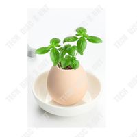 TD® Oeufs à plante jardin miniature pour oeufs conception artisanale écologique petit jardin appartement cadeau jardinage