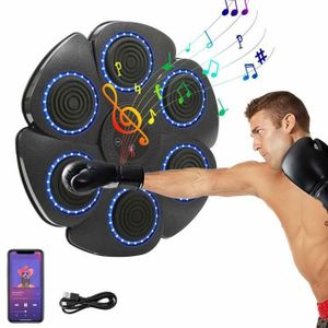 Machine De Boxe Musicale Murale Avec Lumières LED - Bluetooth, 12 Modes, Compteur De Coups, Pour Fitness à Domicile
