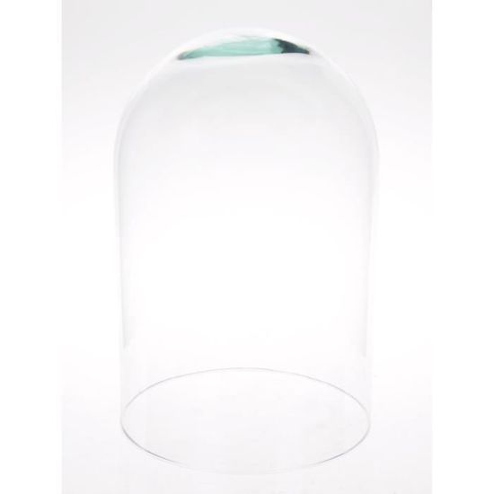 INNA-Glas Cloche en Verre Adelina, Verre écologique, Transparent, 29cm, Ø17cm - Bocal en Verre-Cloche décorative