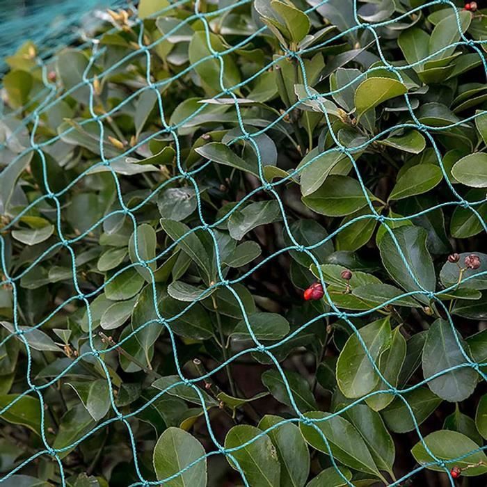 Filet de Jardin Vert Filet Voliere Epais Treillis de Filet pour Arbres Fruitiers,3x10m