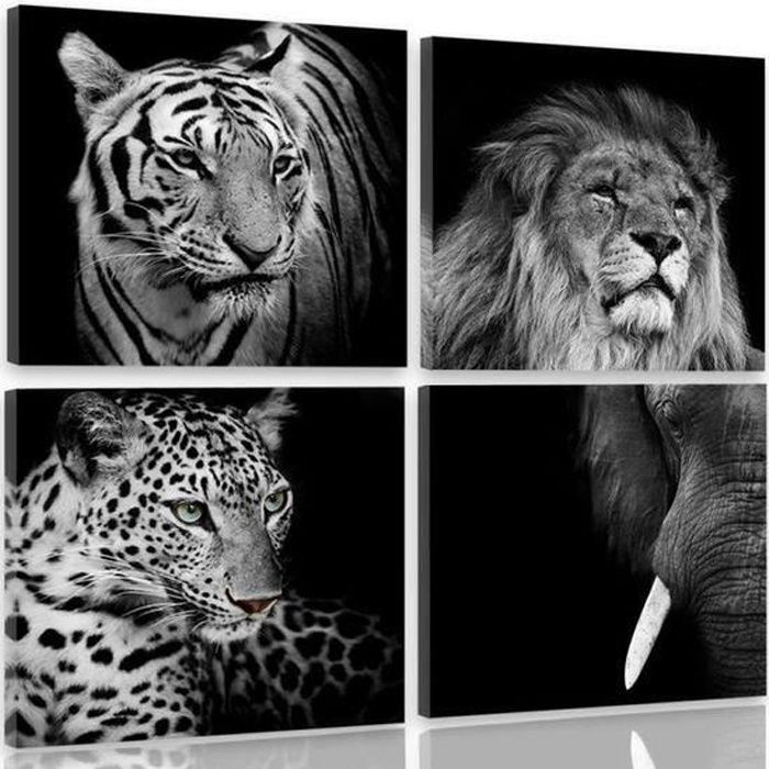 Tableau Décoration Murale animaux sauvages 40x40 cm Impression sur Toile  tigre éléphant lion léopard composition Noir et blanc - Cdiscount Maison