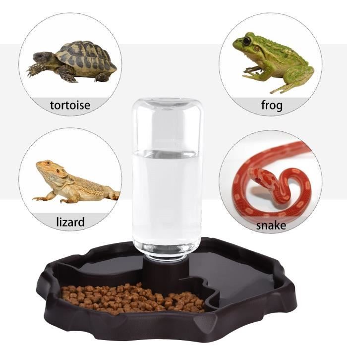 Comparer les prix de Distributeur d'eau pour Reptile, Abreuvoir Tortue pour Mangeoire pour Reptiles pour Tortue Terrestre Gecko - Marron