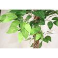 Arbre artificiel Ficus - Hauteur 180 cm-2