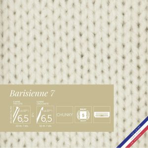 Lot De 10 Pelotes De Laine Bergère De France Barisiene 7 – Acrylique, Neuf, Pour Tricot Et Crochet