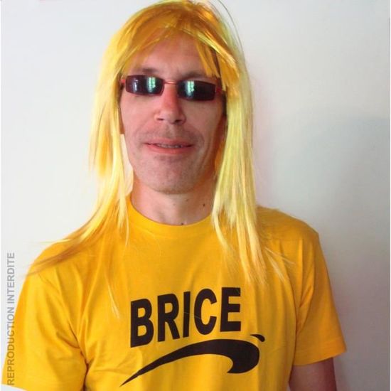 perruque brice de nice