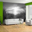 Papier peint Paysages plage (noir et blanc) 400x280 cm - Papier peint panoramique - Intissé-0