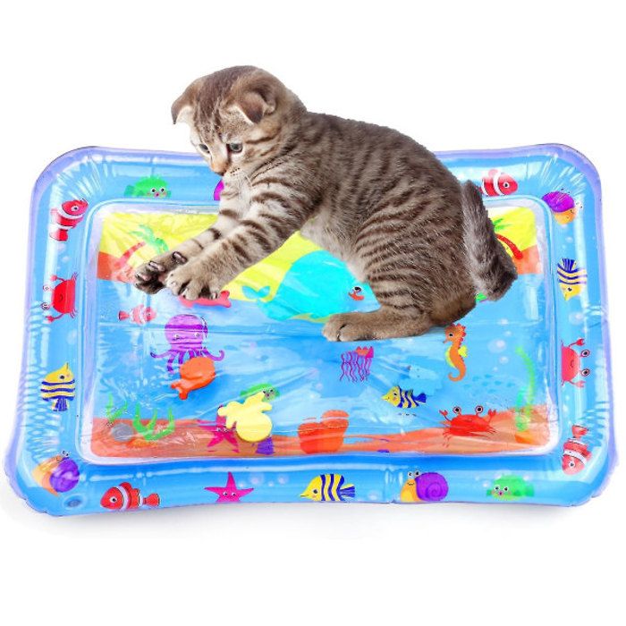 Comparer les prix de Tapis de Jeu Sensoriel dEau pour Chats - Jouets Innovants pour Chats dIntrieur Jeu Autonome couleurs multiples PZCC