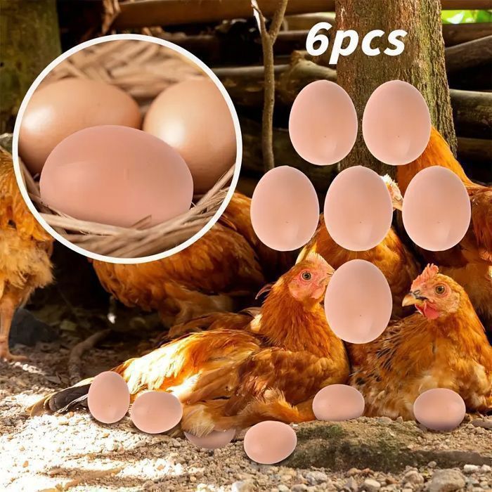 Faux Œufs Lot de 6 – Œufs Factices Réalistes pour Décoration Cuisine Vitrine et Mise en Scène