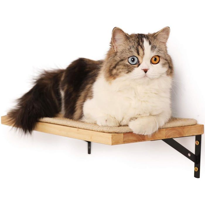 Étagère murale flottante avec tapis à griffer pour chat28cm dépaisseurétagères suspendues en bois dhévéa massif395 x 255 cm