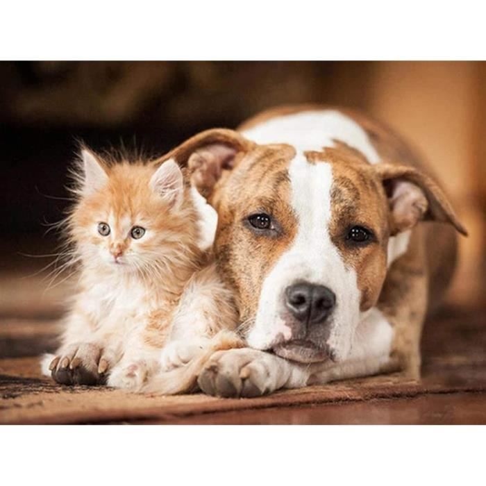 MXJSUA 5D Bricolage Diamant Peinture Par Numéro Kits, 5D Diamond