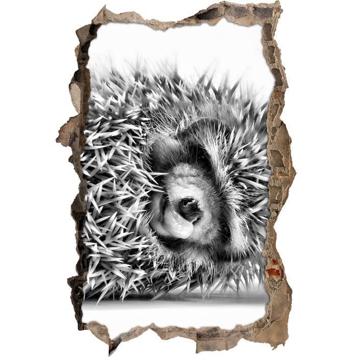Monocrome Mignon Petit Herisson Bebe Percee Mur Dans Le Regard 3d La Taille De La Vignette Mur Ou De Porte 92x62cm Decoration Cdiscount Maison