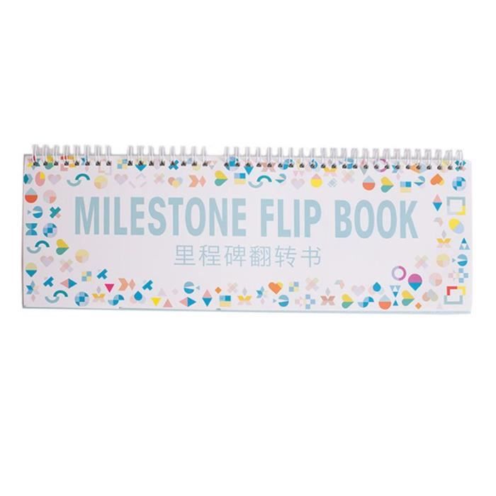 Album Photo De Croissance De Bebe Mois Carte Jalon Photo Livre Cdiscount Beaux Arts Et Loisirs Creatifs