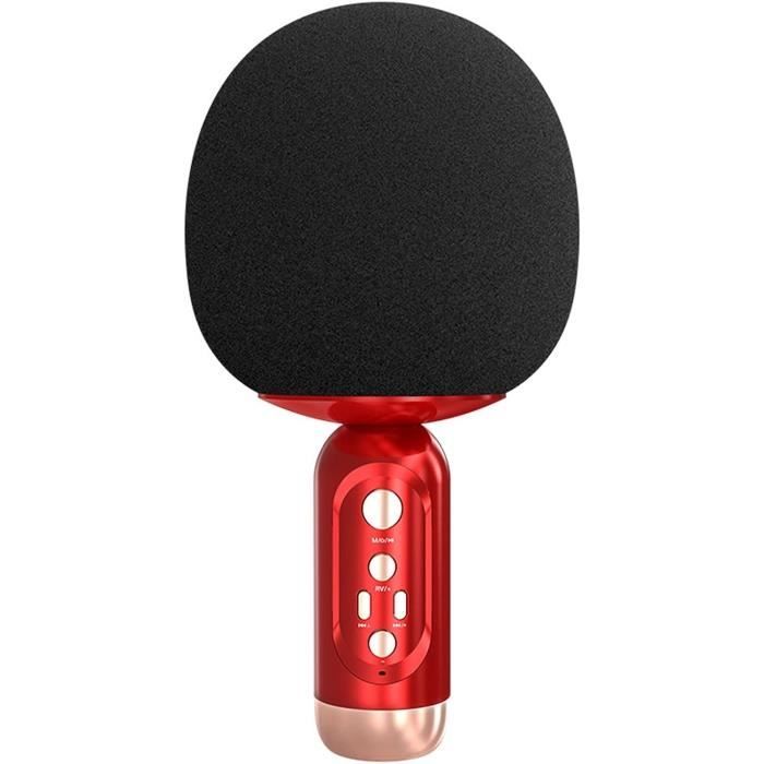 Kit Karaoké Portable – Haut-parleur Avec 2 Micros, Pour Chanter à La Maison