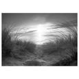 Papier peint Paysages plage (noir et blanc) 400x280 cm - Papier peint panoramique - Intissé-1