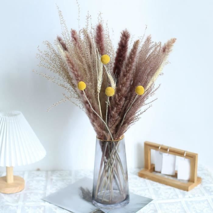 Queue De Lapin Fleur Sechee,Fleurs Séchées Naturelles Herbe De