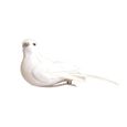 Oiseaux décoratifs blancs (sur pince) 2 pièces - Artémio Blanc-0