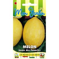 Sachet de  Melon Jaune des Canaries - 3 g - légume fruit - LES GRAINES BOCQUET