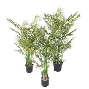 Cuxin DCM 2x 10 L actif-terre plantes vertes & Palmiers Chambre Plantes Fleurs en pot 