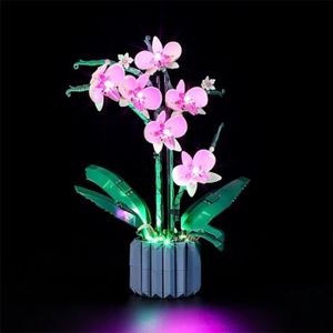 OBJETS LUMINEUX DÉCO  YOSOO Kit de construction d'orchidée avec éclairage LED compatible pour 10311 - Décoration de plante pour la maison ou le