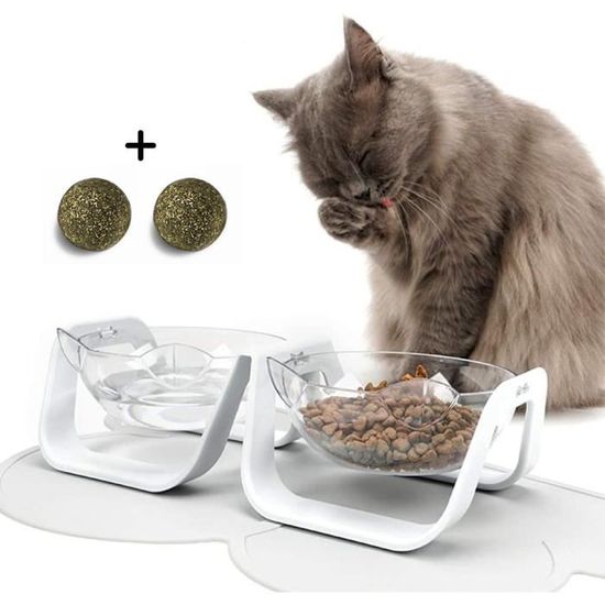 Bols pour chat, bol pour chat transparent incliné à 15 °, bols pour chat surélevés, double bol pour chat avec support