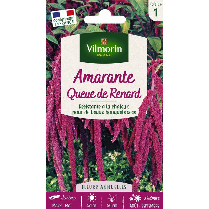 VILMORIN Amarante queue de renard