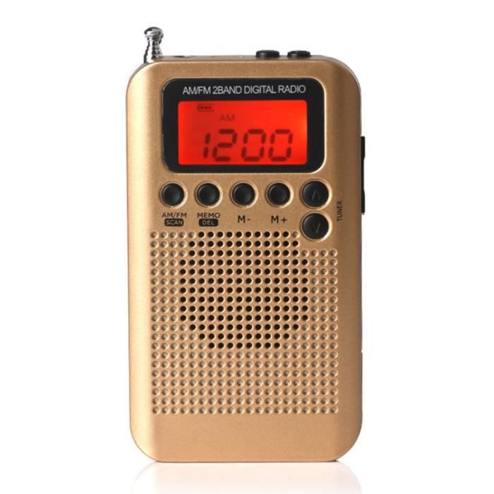 Radio Transistoramique Portable 9 Bandes FM/AM/SW1~SW7