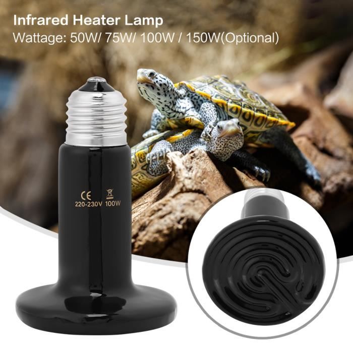 Lampe chauffante infrarouge en céramique pour animaux domestiques Ampoule pour reptiles 100W