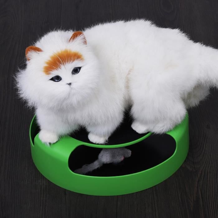 Chat Souris Jouet Pour Les Chatons Chats Attraper La Souris Motion Cat Jouet Str Cdiscount Animalerie