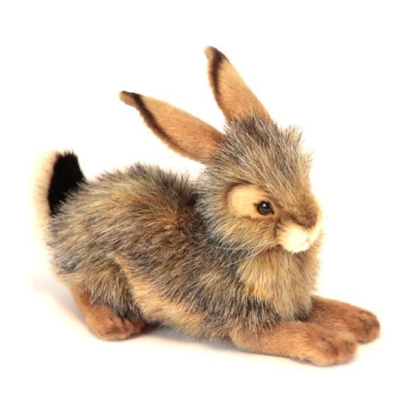 anima peluche
