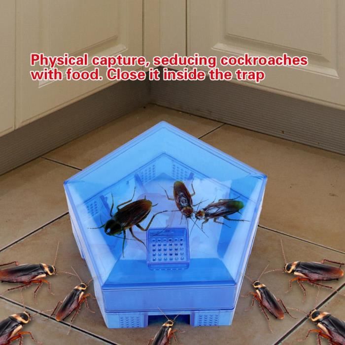 Bébé Blatte Noire Non Toxique Boite Blattes Piege Reutilisable Tueur Efficace