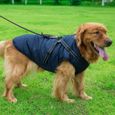 B-S -Veste d'hiver imperméable pour chien,manteau épais et chaud,vêtement en coton rembourré avec harnais de poitrine-3