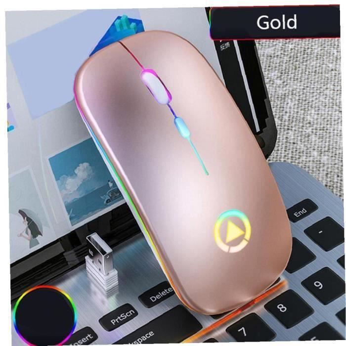 Souris sans fil Bluetooth Gaming Mouse Optical A2 sans fil USB rechargeable sans  fil Rgb Souris pour PC portable d'or - Cdiscount Informatique