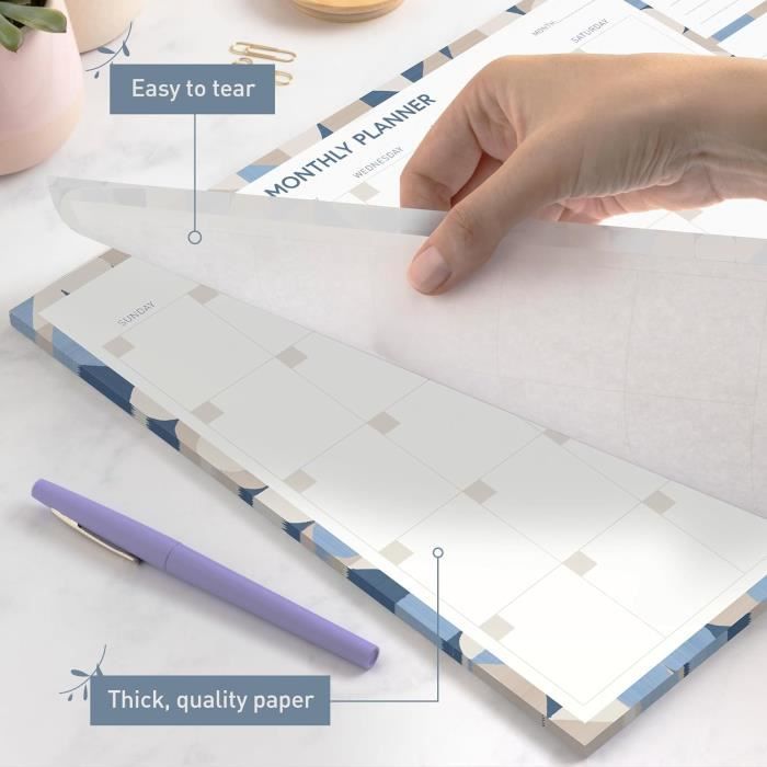 Planning De Révision Personnalisé