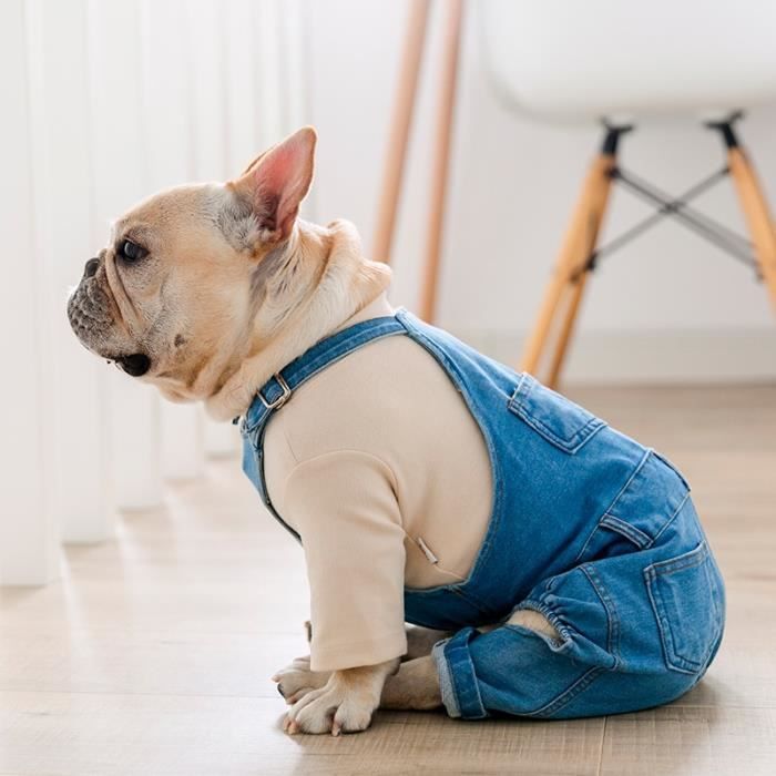 Habit pour bouledogue français sales