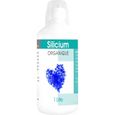 Silicium organique