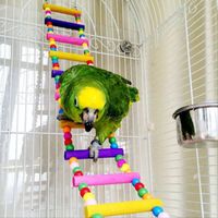 oiseau swing pont en bois échelle grimper cockatiel perruche perruche perroquet de jouets pour animaux familiers