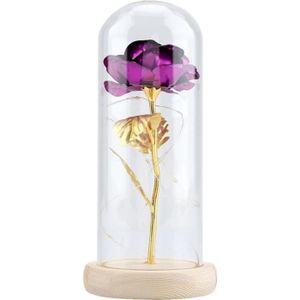 Fleurs stabilisées Fleur Rose Éternelle Lumière LED Avec Couverture e